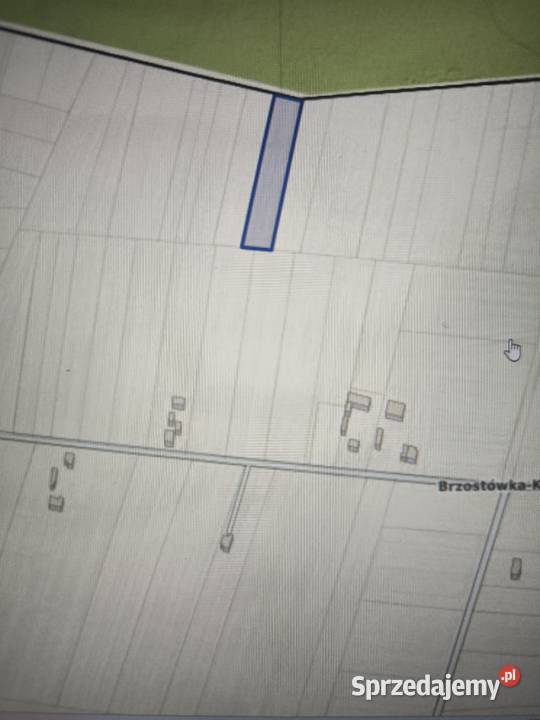 Sprzedam działkę rolną nieużytek rolny zalesiony 5234m2 Brzostówka