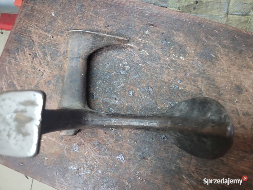 KOPYTO SZEWSKIE TRÓJNIK dolnośląskie Wrocław