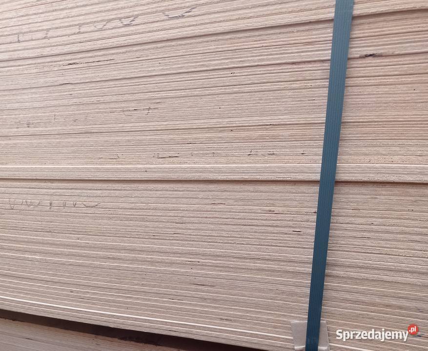 Sklejka surowa liściasta 24mm 1250x2150mm Brzeźno