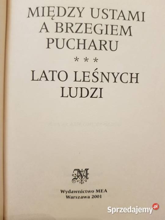 między ustami a brzegiem pucharu lato leśnych świętokrzyskie