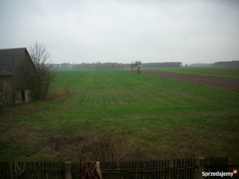 gospodarstwo rolne Kolonia Krępa