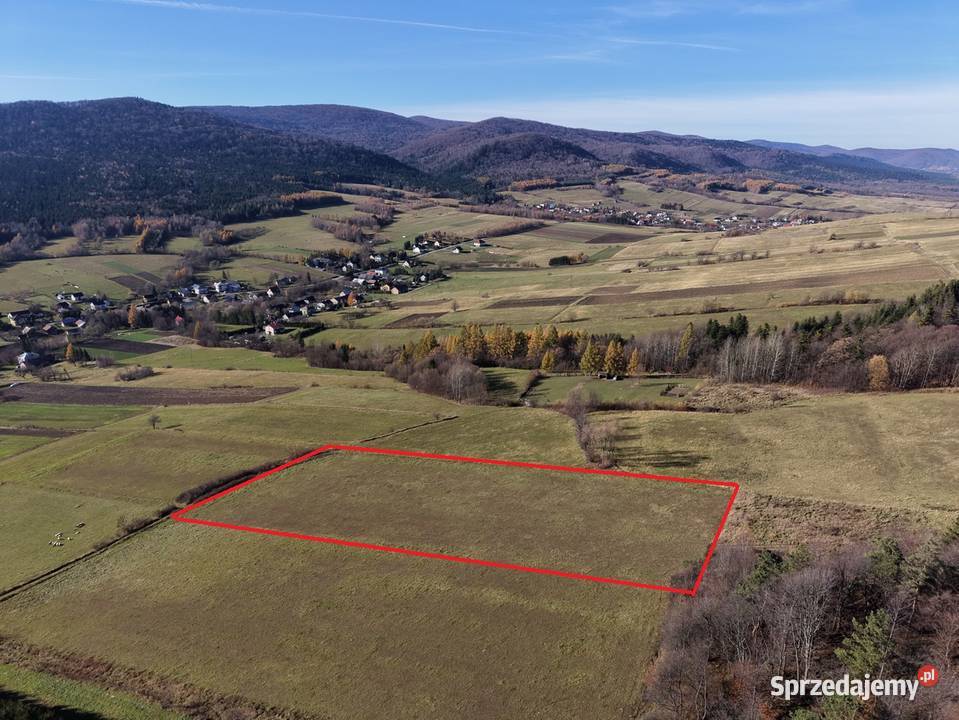 Widokowa działka 92 ar Brzezowa 7zł/m2