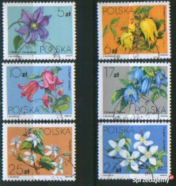 Zn Fi 2758 63 kas 1984