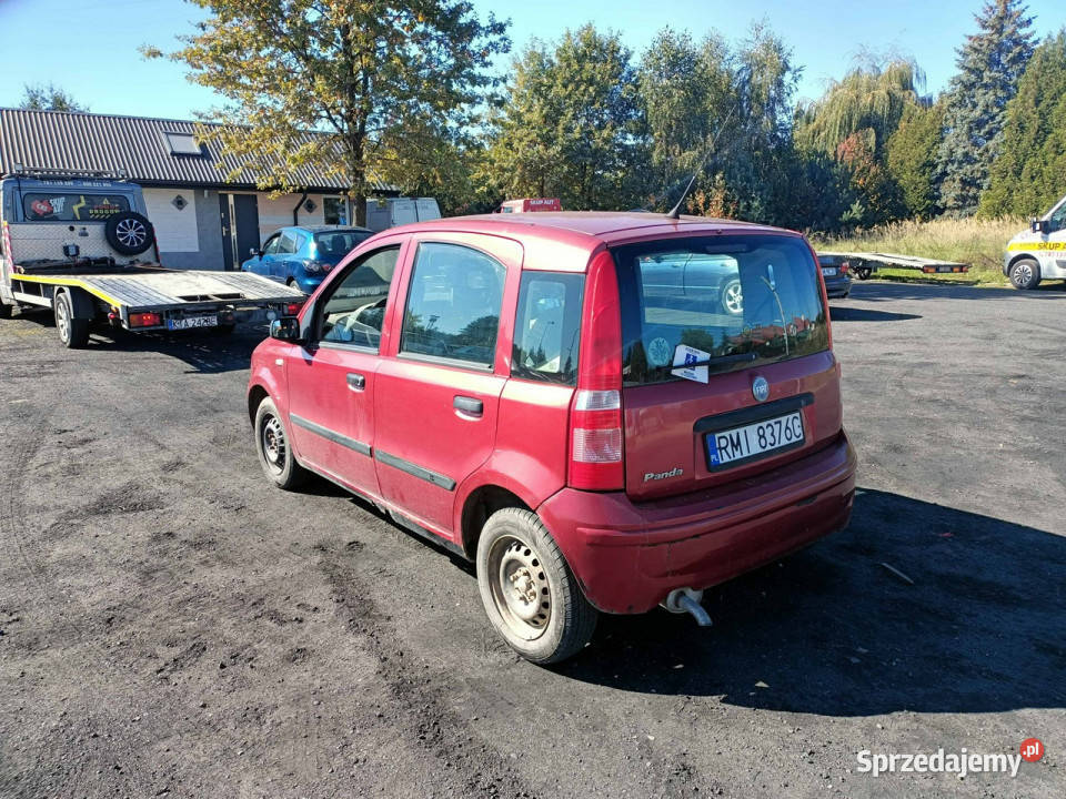 Fiat Panda Fiat Panda 11 04r II 20032012 manualna Tarnów