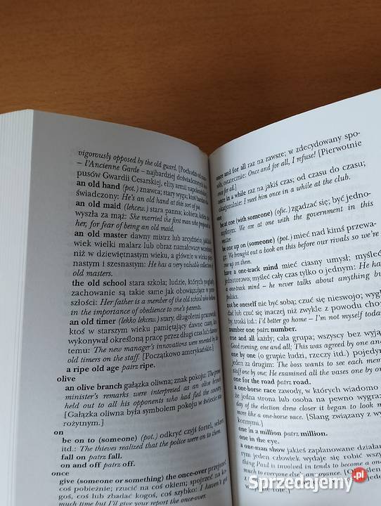 SŁOWNIK idiomów angielskich Philip Wilson Złotniki