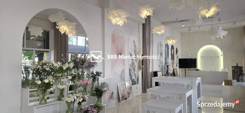 Lokal Włocławek Jerzego Bojańczyka 237m2