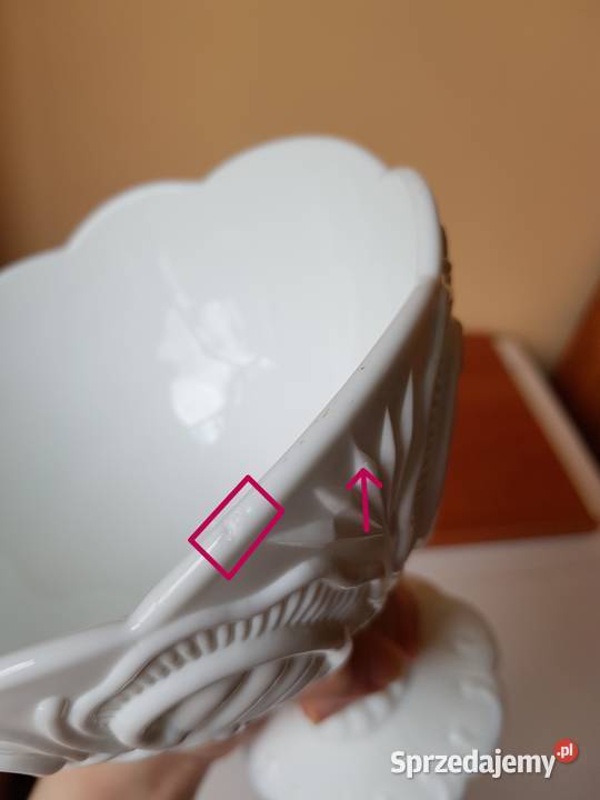 Mała owocarka lattimo Jabłuszka Zawijasy śląskie Dąbrowa Górnicza