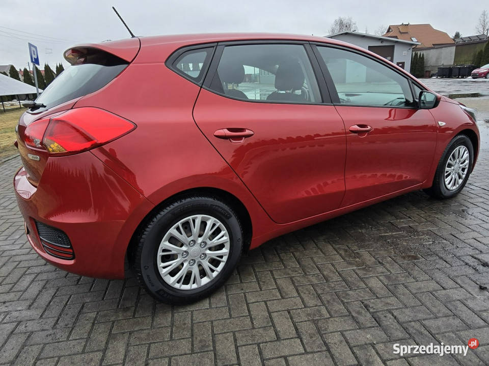 Kia Ceed 16crdi Kutno