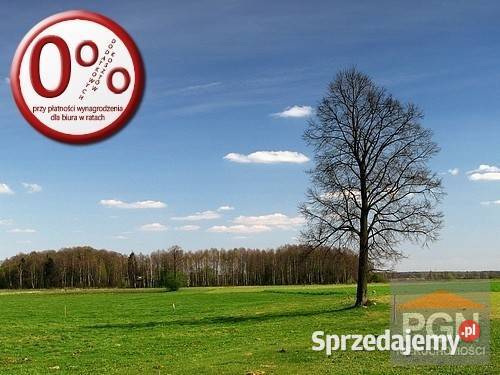 Działka Połchowo 4800m2