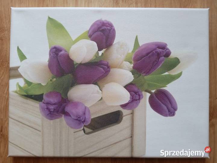 Obraz na płótnie Tulipany 40x30 Poznań