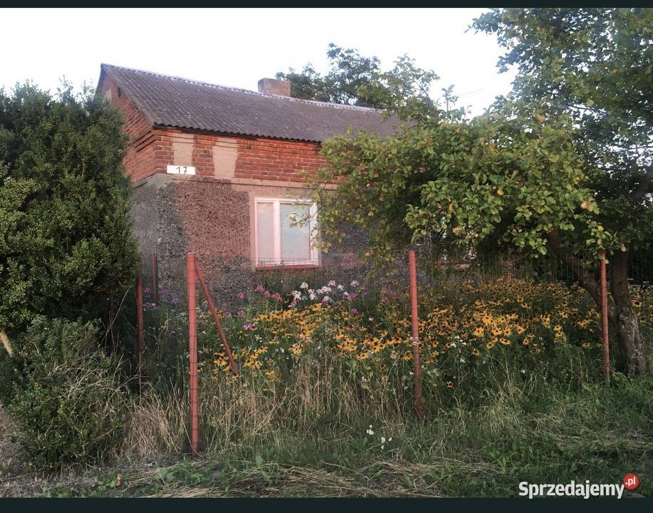 Dom jednorodzinny gmina babiak wies wiecinin 17 Sprzedaż wielkopolskie Konin