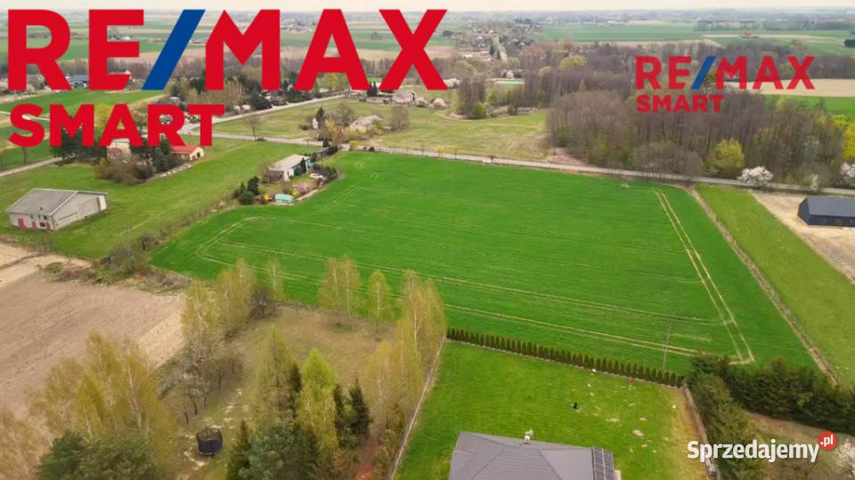 Działka 1544 m Miszewko Strzałkowskie 1054 Grunty i działki