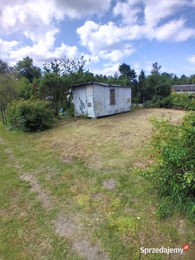 Usługi ogrodniczesprzątanie działek sprzedam