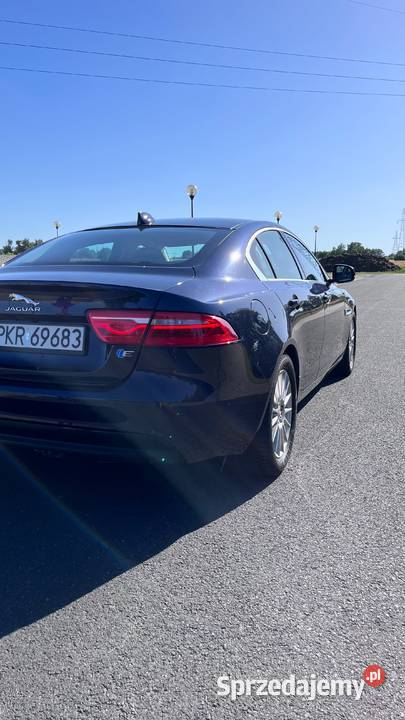 Jaguar XE wielkopolskie Krotoszyn
