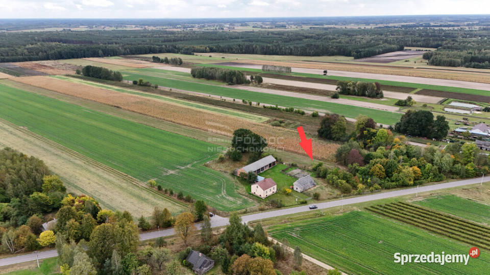 Działka 145ha z możliwością zabudowy Kolembrody 22m