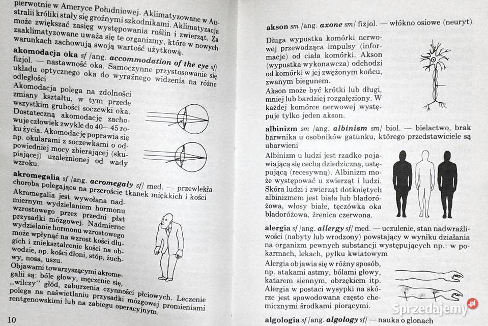 ABC biologii Słowniczek ilustrowany Anucjata Chełm sprzedam