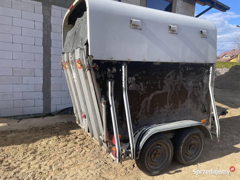 Przyczepa koni bez dokumentów lubelskie