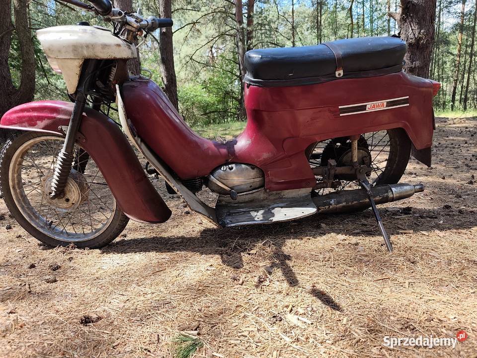 Jawka kaczka sprawna szybka 1000km Kolsko