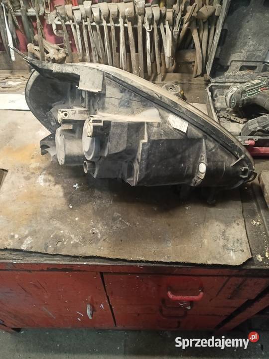 Przednia lampa Punto Evo Gniezno