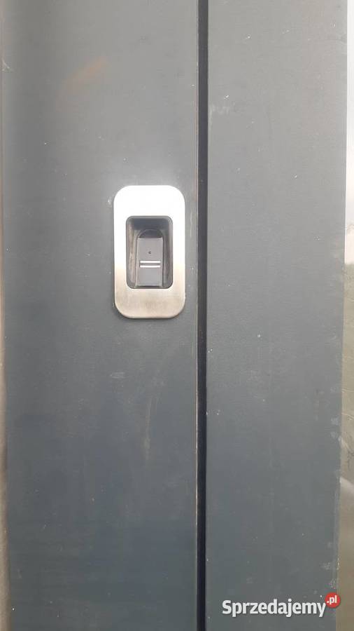 Drzwi wejściowe aluminiowe trzyszybowe Wysokie