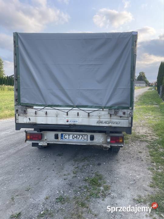 Fiat ducato Toruń
