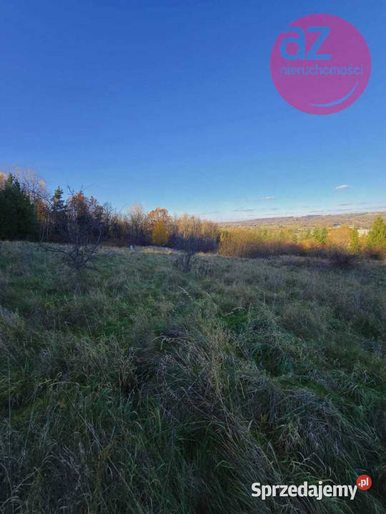 6 działek budowlanych w Stróżówce 24a małopolskie Stróżówka