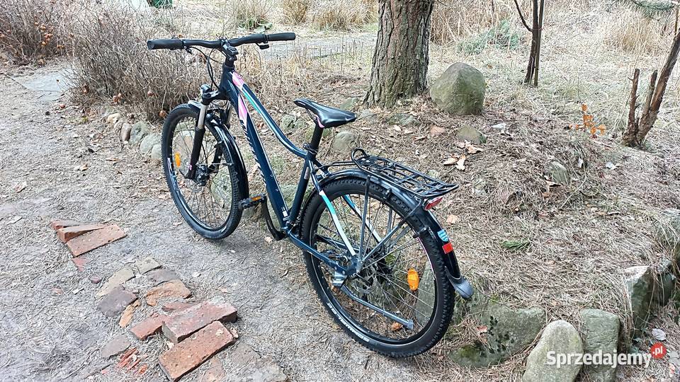 Alu Rower Górski Damski Wheeler Passera Atb 3x8 Wołów