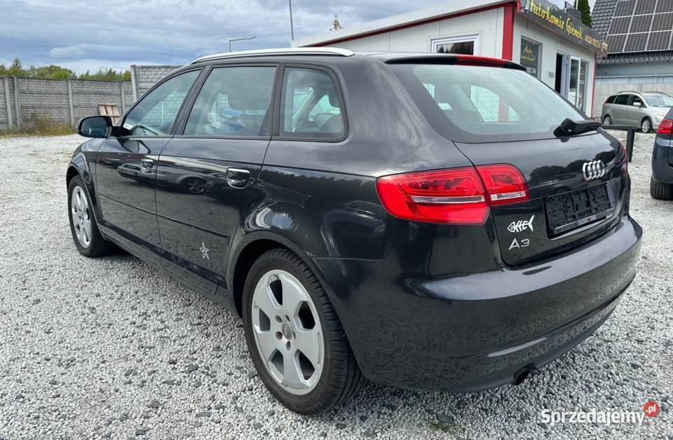 Audi A3 Sportback 16 MPI 2010 1600cm3 Obłotne