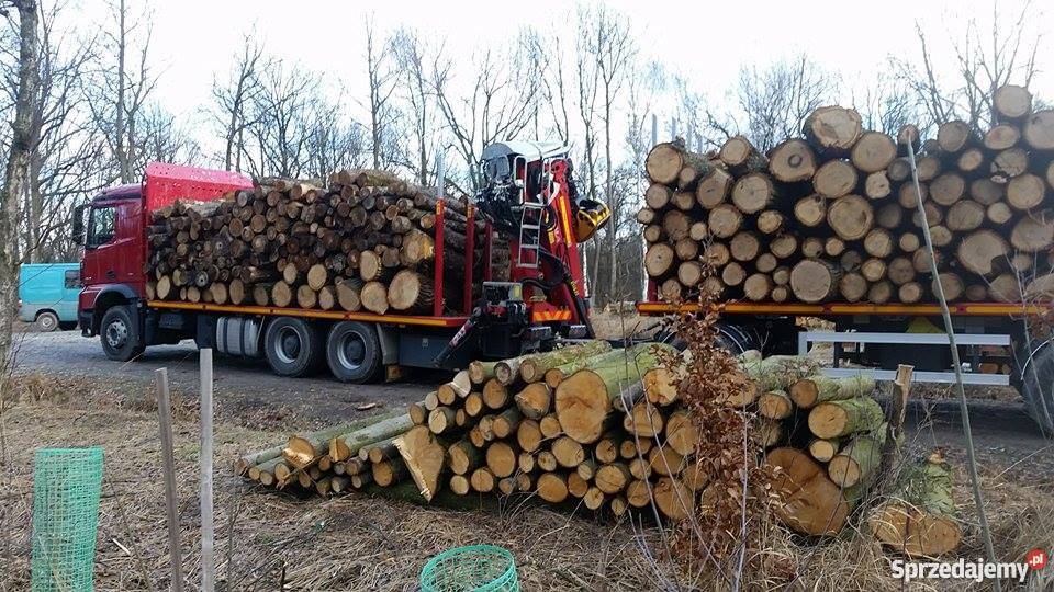 Drewno Kominkowe Legnica 165mp Legnica