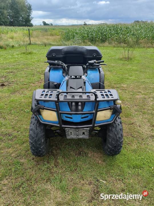 Quad Buyang 300 4x4 z homologacją Iskrzynia