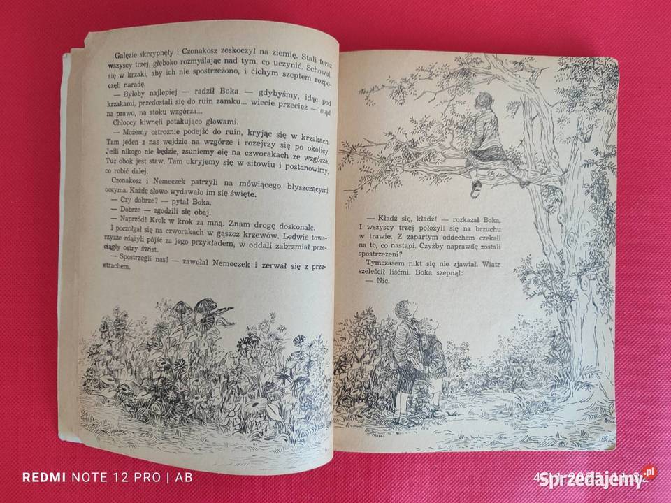 Chłopcy z Placu Broni Ferenc Molnar wyd z 1974 r śląskie Katowice