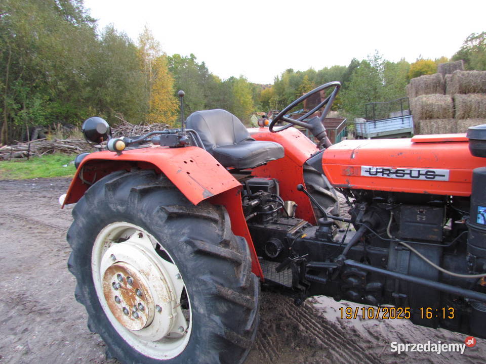Sprzedam Ursus C330M Święta Katarzyna