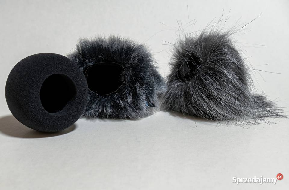 Rejestrator audio ZOOM H1N Lidzbark