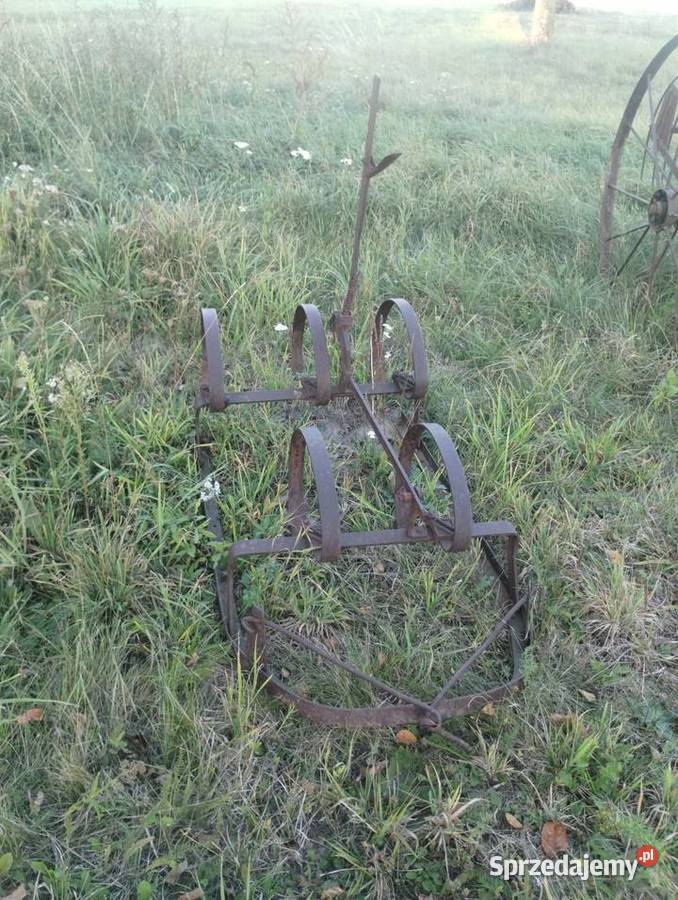 Kultywator konnysprężynówka Bezwola sprzedam