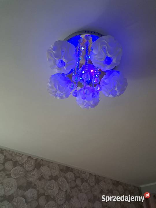 Żyrandol przysufitowy nowoczesny wzór 5 kloszy Szczecin