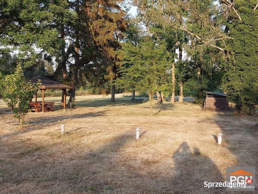 sprzedaży gruntu Chrząszczewo 7500m2 130m Sprzedaż sprzedam