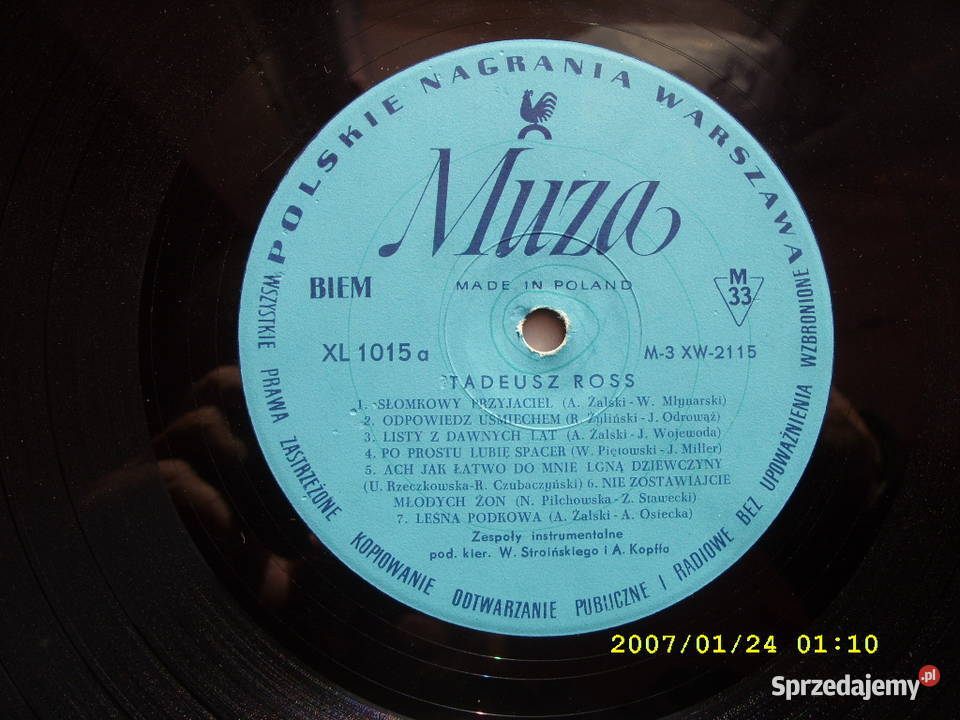 POP LP Tadeusz RossSłomkowy przyjaciel Muza bez Wołów