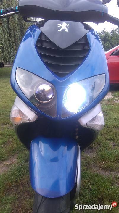 Peugeot Speedfight 2 XENON bagażnik kujawsko-pomorskie Buszkowo