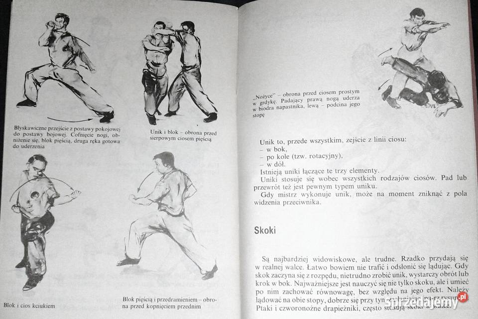 Moc Erniego Stanisław Tokarski Pozostałe