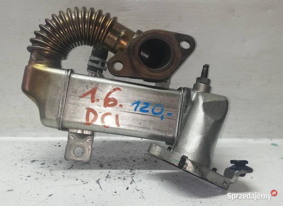 Chłodnica Spalin Renault 16 DCI 147350678R świętokrzyskie Suchedniów sprzedam