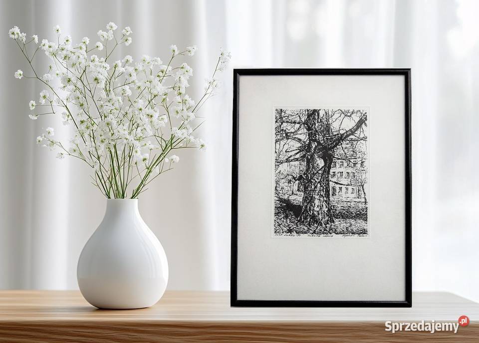 Drzewo grafika czarnobiała Agnieszka Paluch 1994 lubelskie Lublin