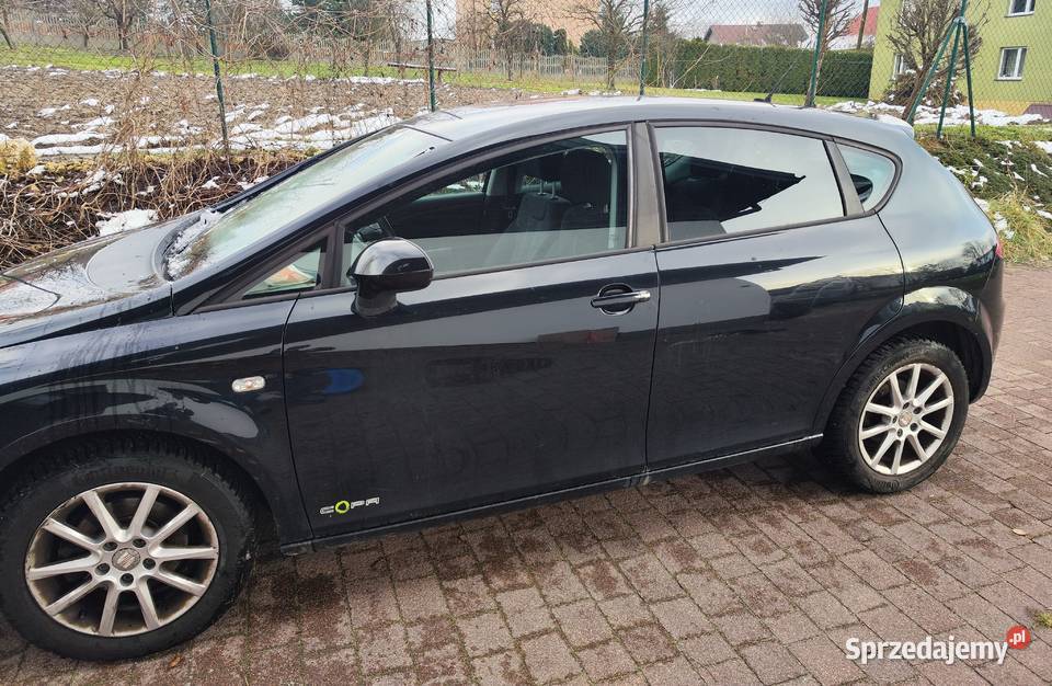 Seat Leon Ecomotive Będkowice