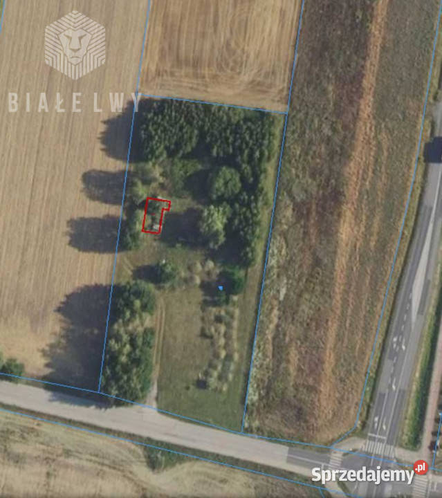 Działka do sprzedania Elżbietów 6400m2
