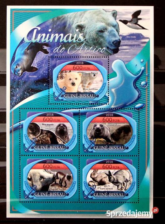 Gwinea Bissau fauna arktyczna 2 wielkopolskie Oborniki