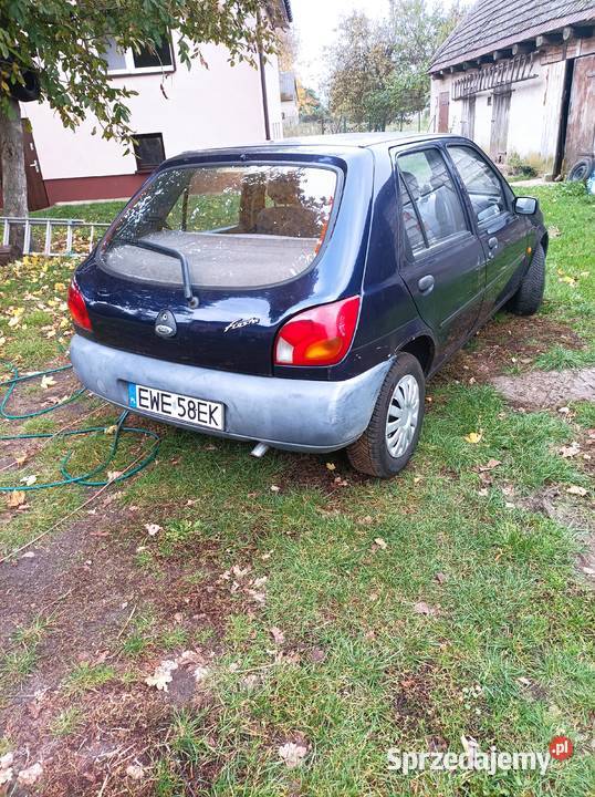 Ford Fiesta Turek