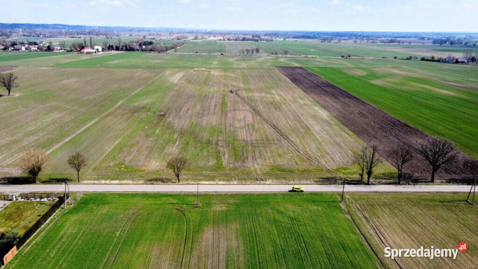 Grunt 449 ha z koncepcją 5 domów Jenin budowlana lubuskie