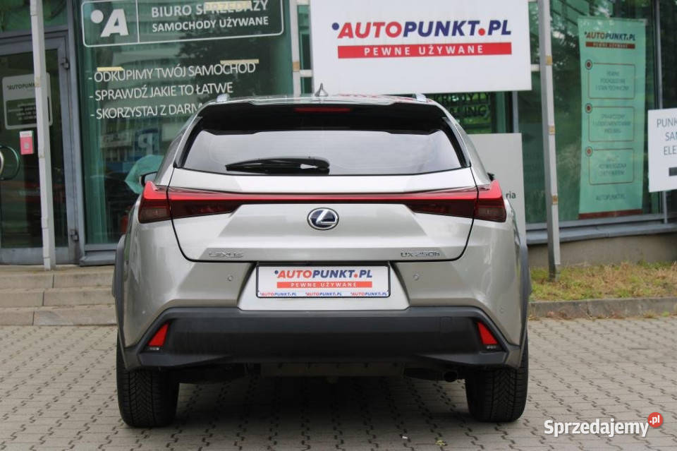 Lexus UX 2020r Gwarancja Świeżo Serwisie nieuszkodzony UX śląskie Chorzów