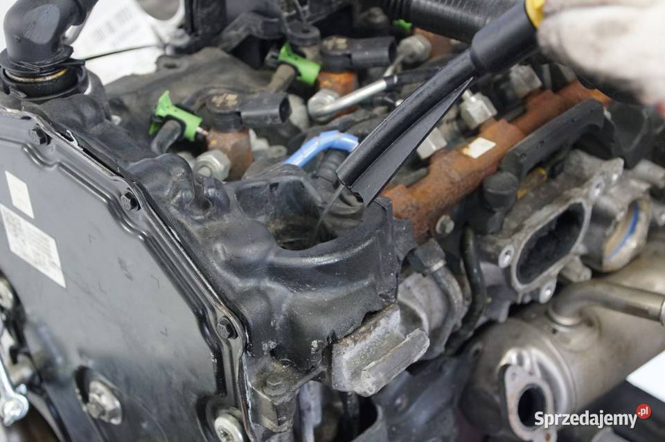 SILNIK KOMPLETNY FORD TRANSIT MK8 YMF6 20 TDCI osobowe kujawsko-pomorskie Lipno