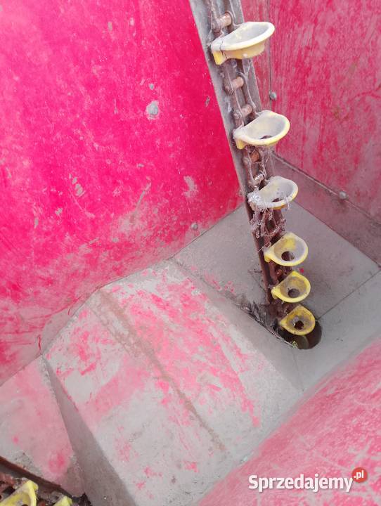 Sadzarka kubełkowa polska