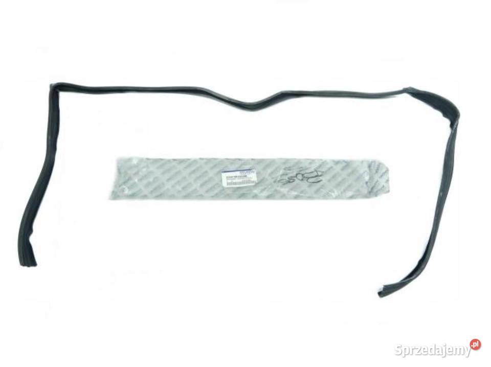 USZCZELKA SZYBY DRZWI PP HYUNDAI SANTAMO 9802